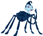 araignee image