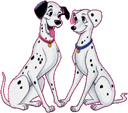chien male et femelle