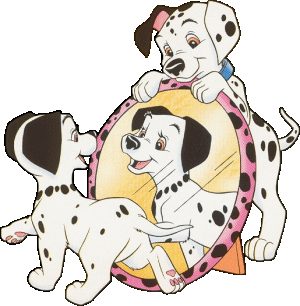 image dalmatien qui regarde dans sa glace