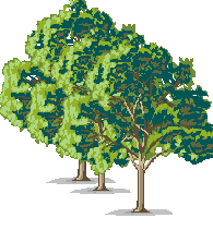 arbre decoratif