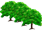 la petite foret