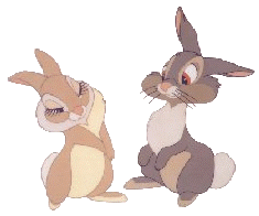 les lapins