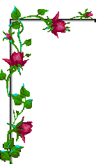 une bordure de roses