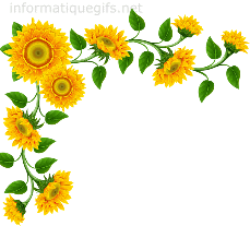 tournesol