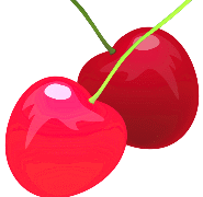 fruit du cerisier