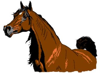 pur sang dessin