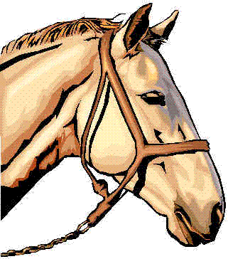 tete de cheval