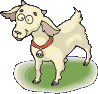 illustration animal
