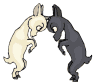 animal de la ferme
