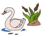 dessin cygne eau