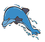 dolphin clip art