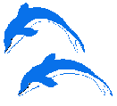 deux dauphins qui sautent