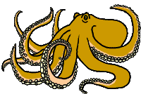 dessin de pieuvre