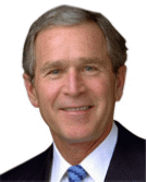 Image Bush