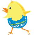 poussin oeuf