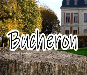 photo bucheron bois