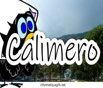 Image calimero