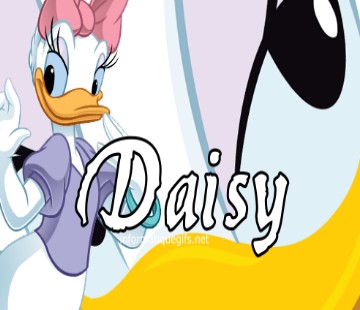 image de daisy