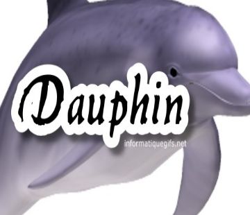 dauphin de plage