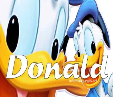 canard donald