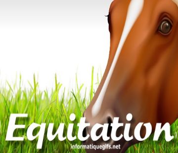 equitation cheval