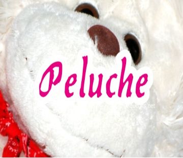 image peluche