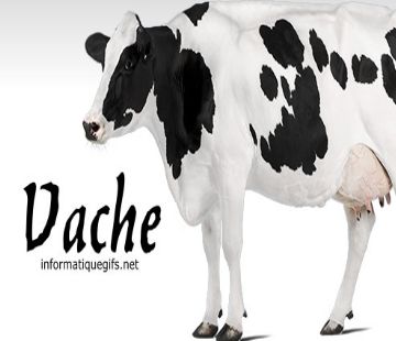 la vache