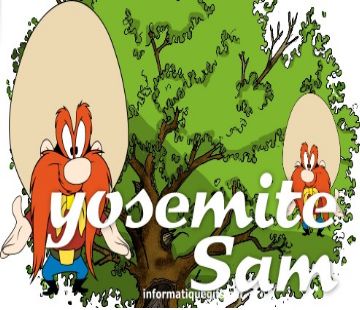 yosemite sam