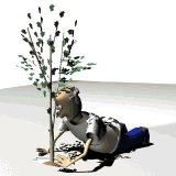 une homme qui regarde son arbre