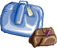 un sac de voyage