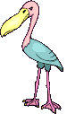 image oiseau