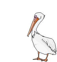 pelican silhouette clip art