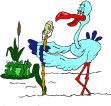 pelican clip art picture
