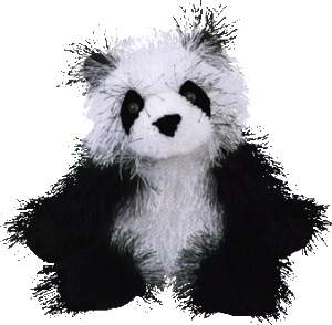 petit panda