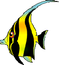poisson clown