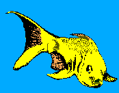 un gros fish