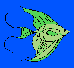 un poisson dans un aquarium