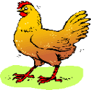 coq