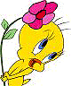 tweety bird avec une fleur