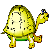 images tortues