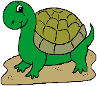 illustration turtle
