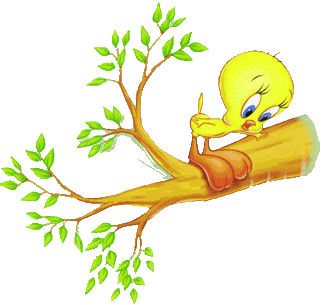 Tweety Bird sur la branche