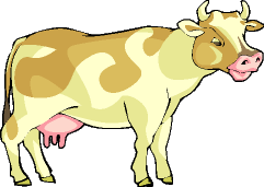 vache a mamelle