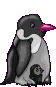 image de Pingouin