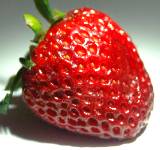 image fraise