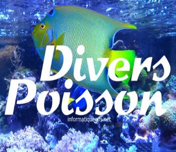 poisson divers