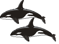 les orques